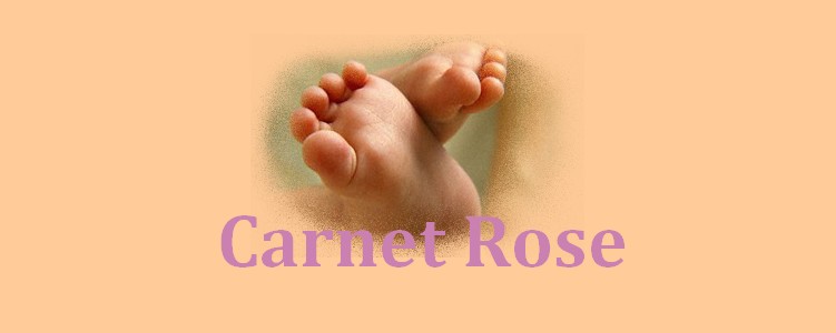 Carnet rose